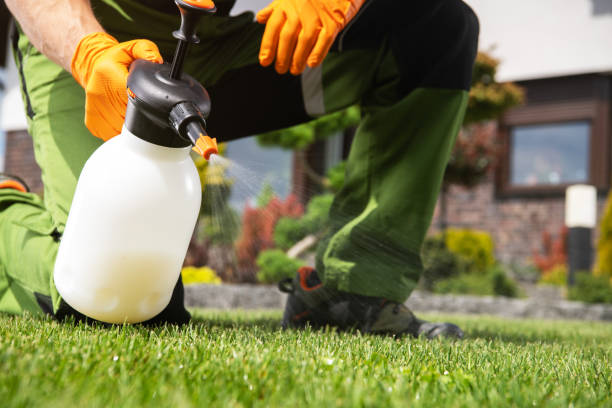 Best Local Pest Control Services  in Saugerties South, NY