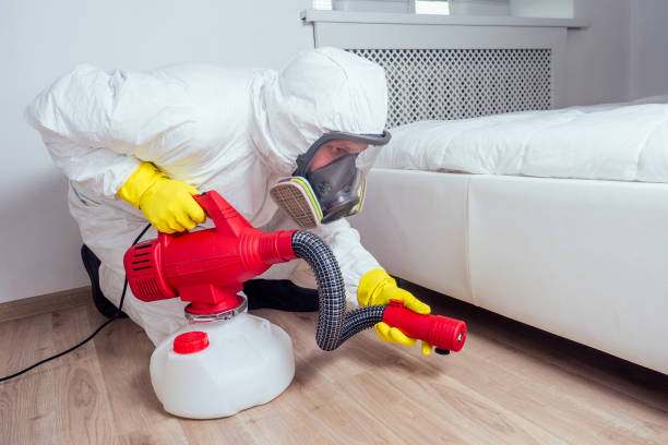 Best Exterminator Services  in Saugerties South, NY